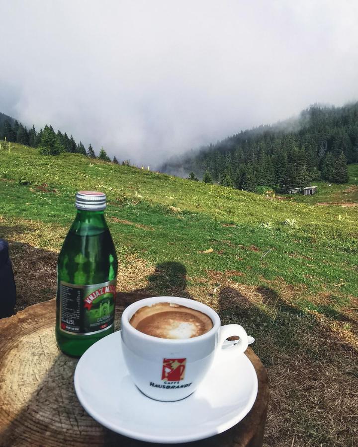 Milmari Resort - Apartman L43 Kopaonik Kültér fotó