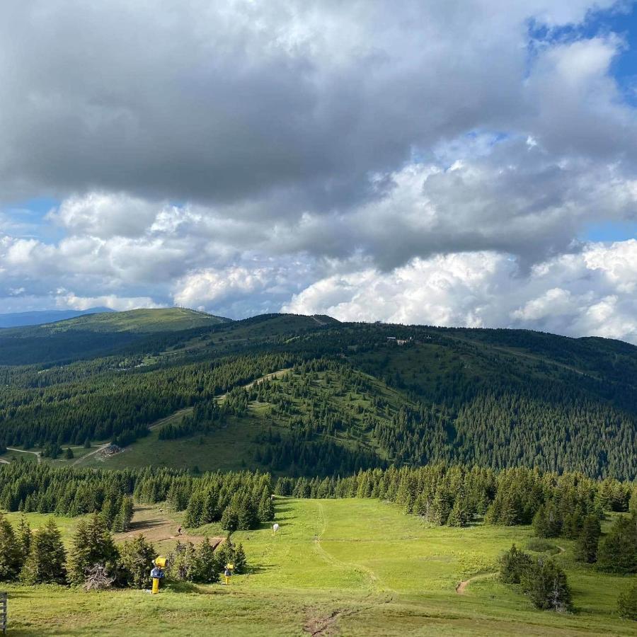 Milmari Resort - Apartman L43 Kopaonik Kültér fotó