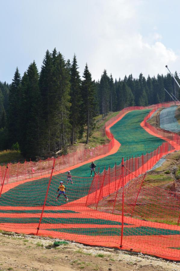 Milmari Resort - Apartman L43 Kopaonik Kültér fotó